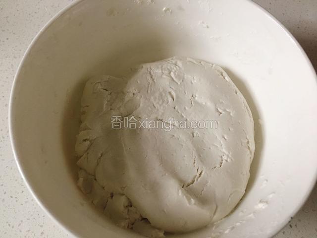 揉成面团就可以，不要太干也不要太湿。