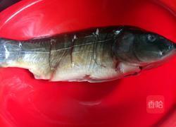 家常炖鲤鱼的做法图解1