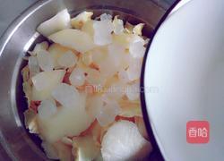 雪梨百合冰糖水的做法图解4