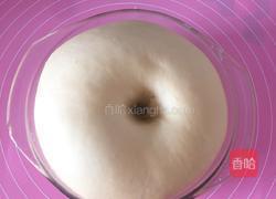 波兰种豆沙餐包的做法图解4