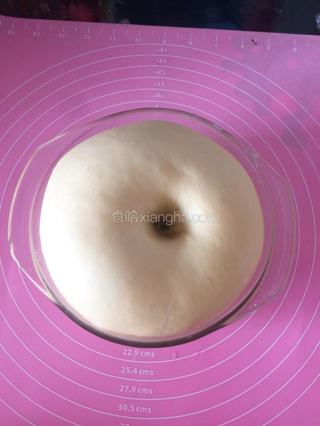揉好的面团盖上保鲜膜放温暖处发酵，发酵到原面团的2倍大，手指蘸面粉戳洞不回弹就好了