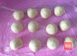 波兰种豆沙餐包的做法图解5