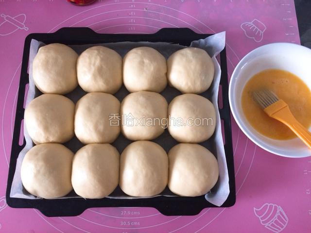 面团是原来2倍大就醒发好了，表层轻刷蛋液