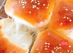 波兰种豆沙餐包的做法图解11