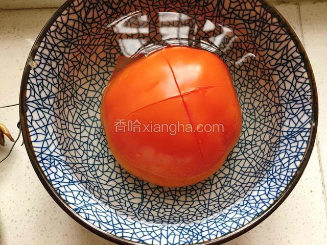 西红柿用开水烫一下，顶部划十字口。