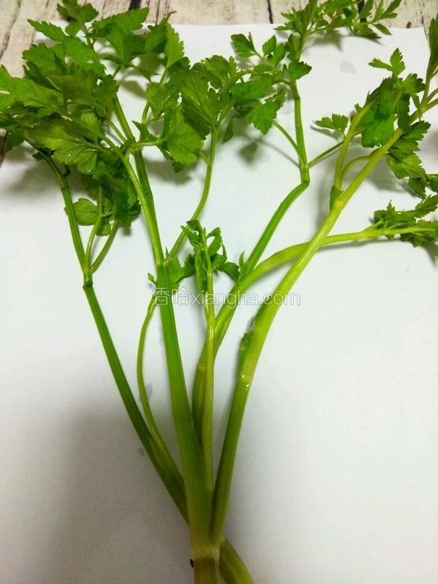 来一张大图，让大家看清楚水芹菜的样子