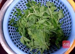 豌豆苗鸡蛋汤的做法图解1
