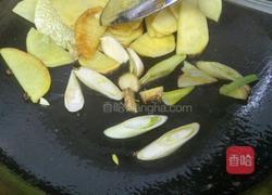 大辣椒炒土豆片的做法图解6