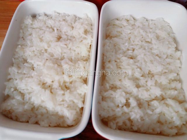 米饭盛好