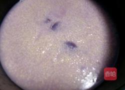 紫薯小米粥的做法图解7