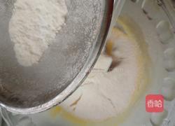 小鸡仔的做法图解5