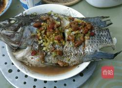 清蒸豆豉罗非鱼（简易版）的做法图解5