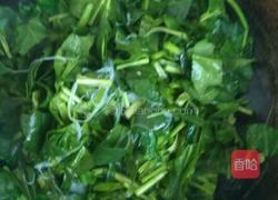 蒜蓉粉丝菠菜的做法图解3