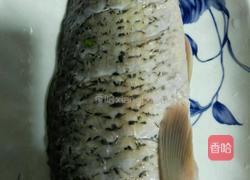 红烧鲤鱼的做法图解2