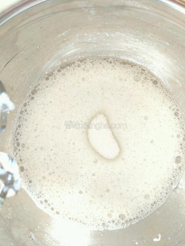 蛋清打发至鱼泡眼时加入剩余白糖的三分之一继续打发