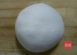 水晶虾饺的做法图解5