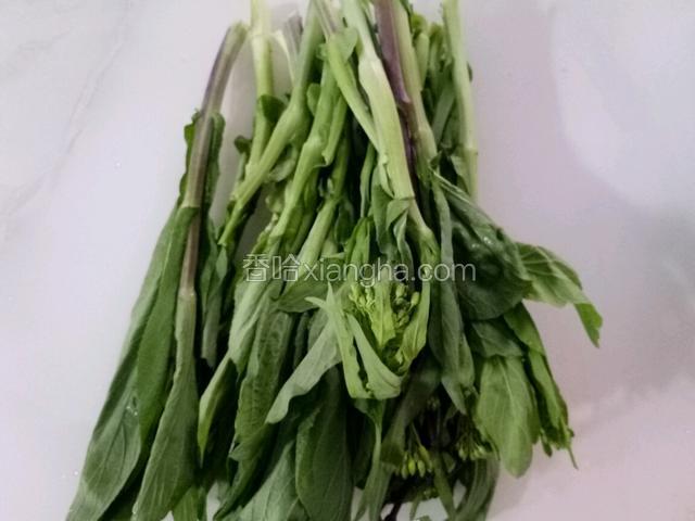 油菜苔又分紫菜苔和绿菜苔两种。绿菜台在四川又叫白油菜台，如下图。