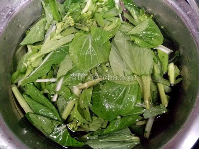 摘好，浸泡浸泡，清洗干净。捞出控干水分备用。