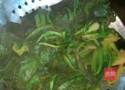 卤肉菠菜的做法图解5