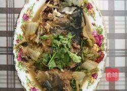 鲤鱼炖白菜的做法图解5