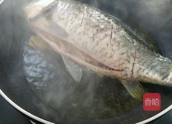 家常青椒焖鲫鱼的做法图解4
