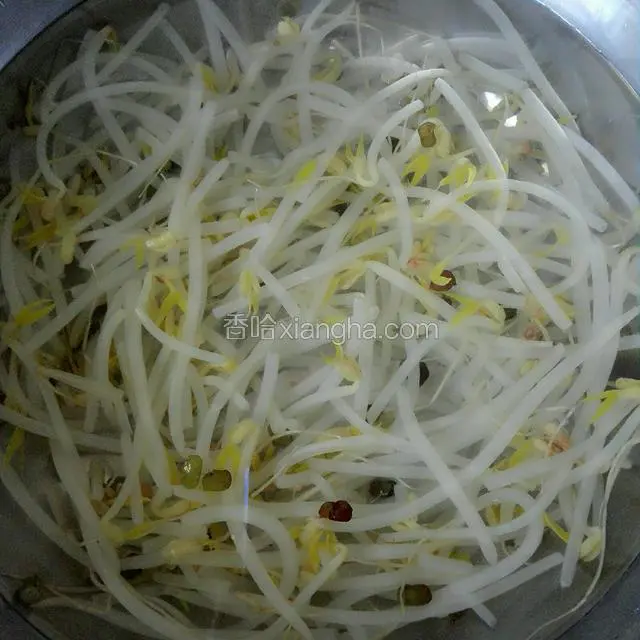 豆芽焯熟过凉水备用