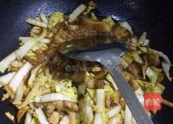 白菜粉条的做法图解5