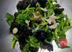 穿心莲炒肉的做法图解8