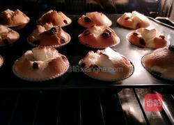 纸杯葡萄干蛋糕的做法图解15