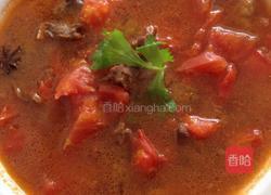 西红柿炖牛腩的做法图解4