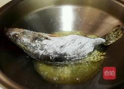 茄汁桂鱼的做法图解4