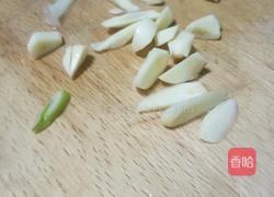 白菜烧豆腐的做法图解4