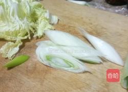 白菜烧豆腐的做法图解5