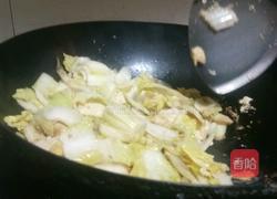 白菜烧豆腐的做法图解11