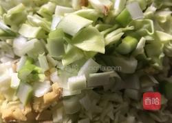 卷心菜水饺的做法图解3