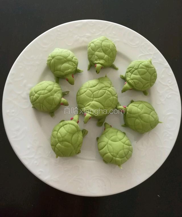 巴西红耳龟的一家
