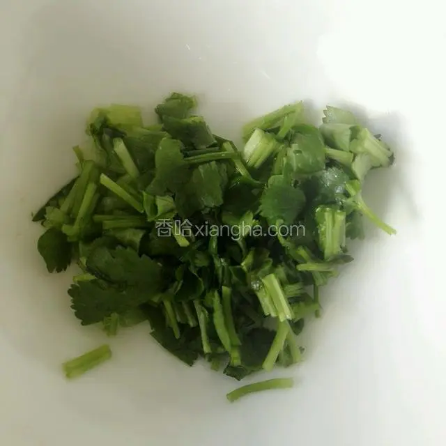 香菜切沫