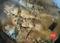 家常炖鲫鱼的做法图解9