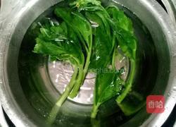 剁椒芥蓝菜的做法图解8