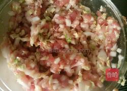 猪肉白菜饼的做法图解3