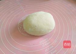 锅贴的做法图解4