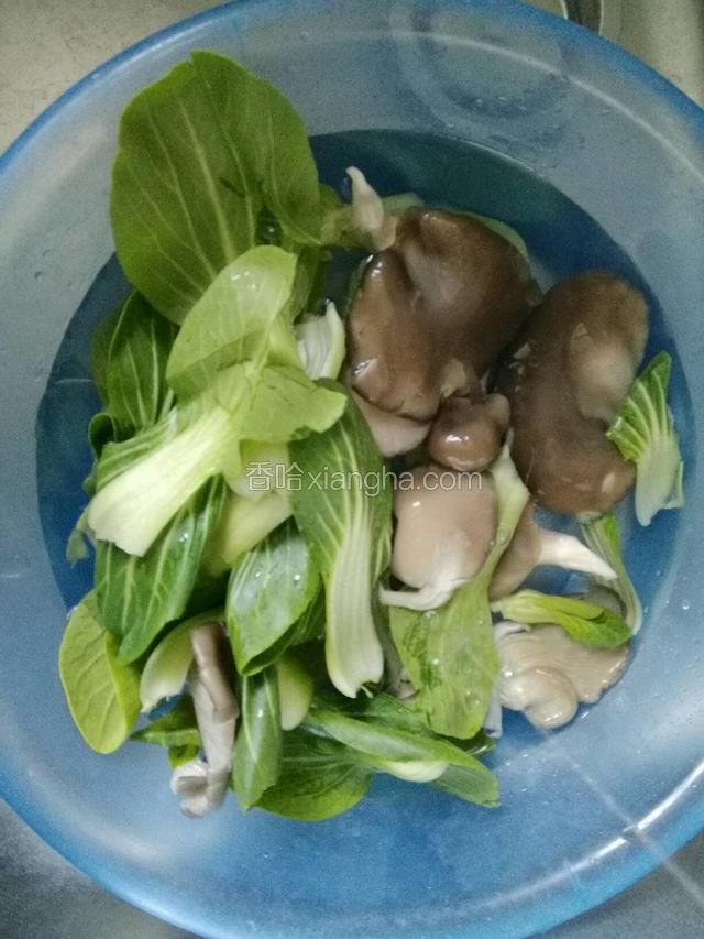 首先清水浸泡蘑菇油菜；