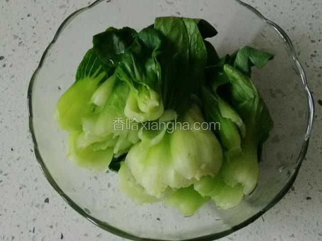 焯水后的油菜攥干水份；