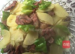 家常土豆牛肉的做法图解5