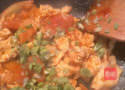 番茄炒鸡蛋的做法图解14