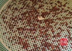 芽苗菜 白萝卜苗的做法图解2