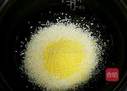 二米粥的做法图解1