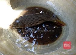 央视之鲤鱼 清汤鱼的做法图解1