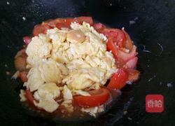 番茄炒蛋的做法图解9