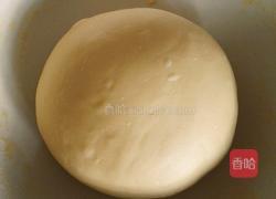 肉松面包的做法图解6